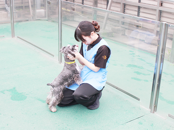 生徒とモデル犬が大好きなドッグラン♪